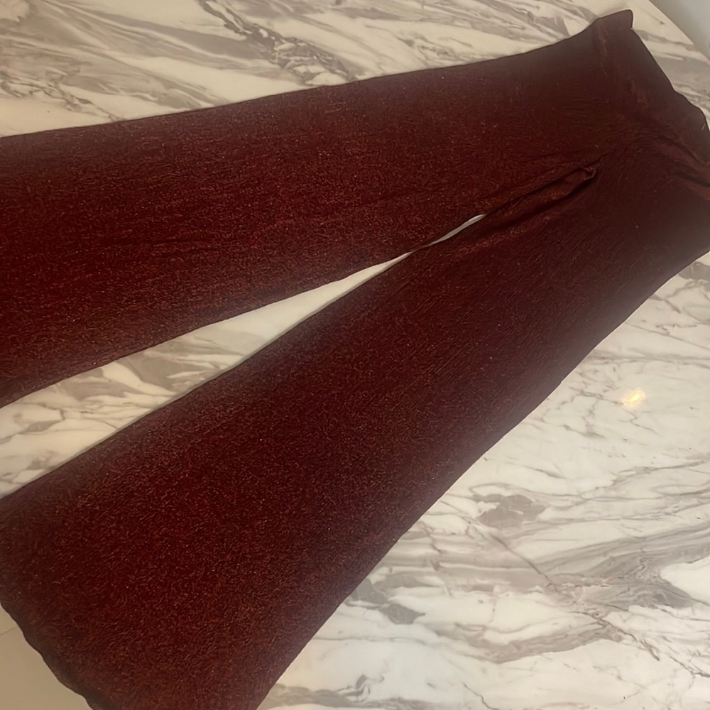 Zara sheer stretch pants. EUR M | US M | MEX 28